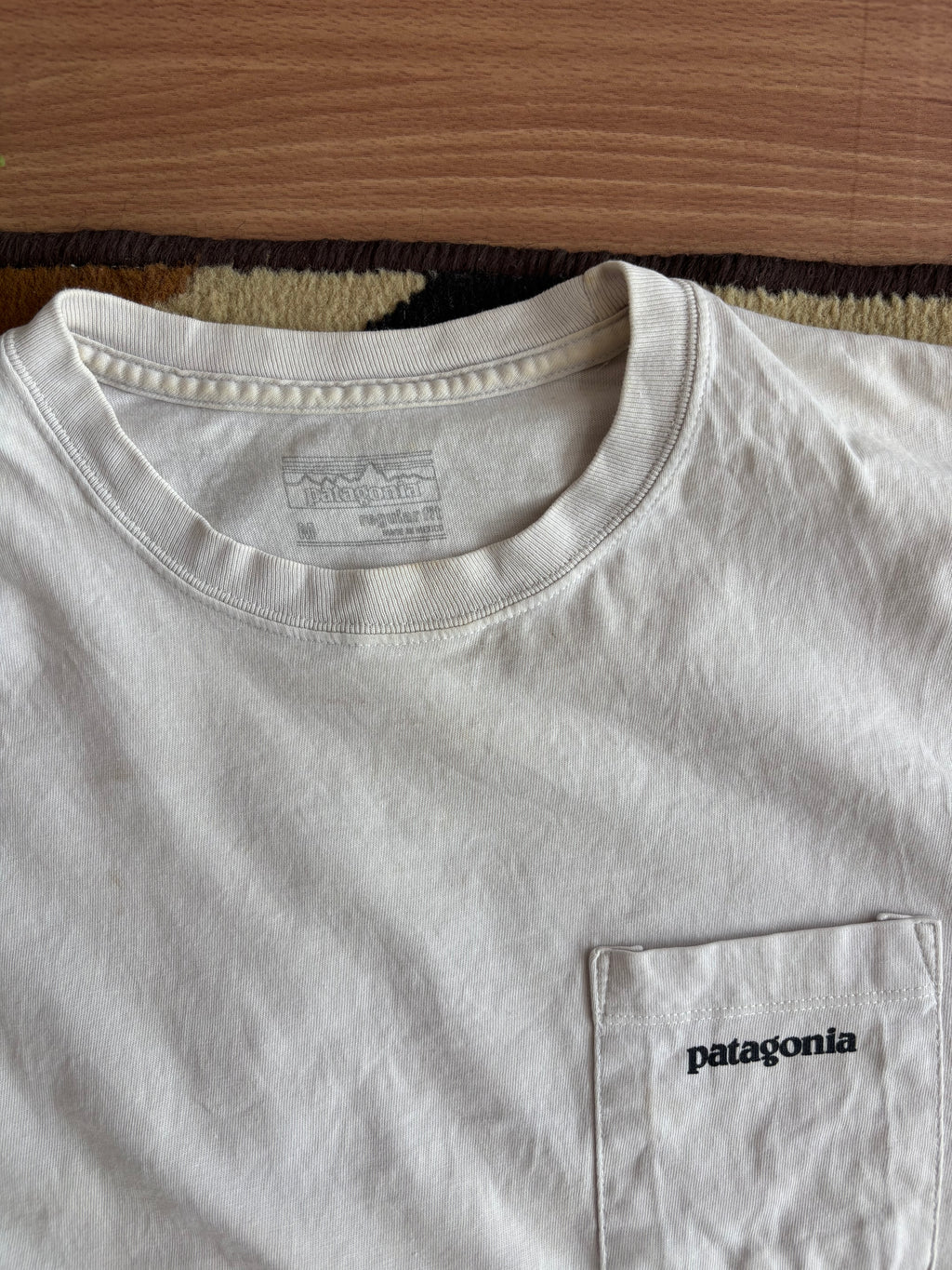 Patagonia tee
