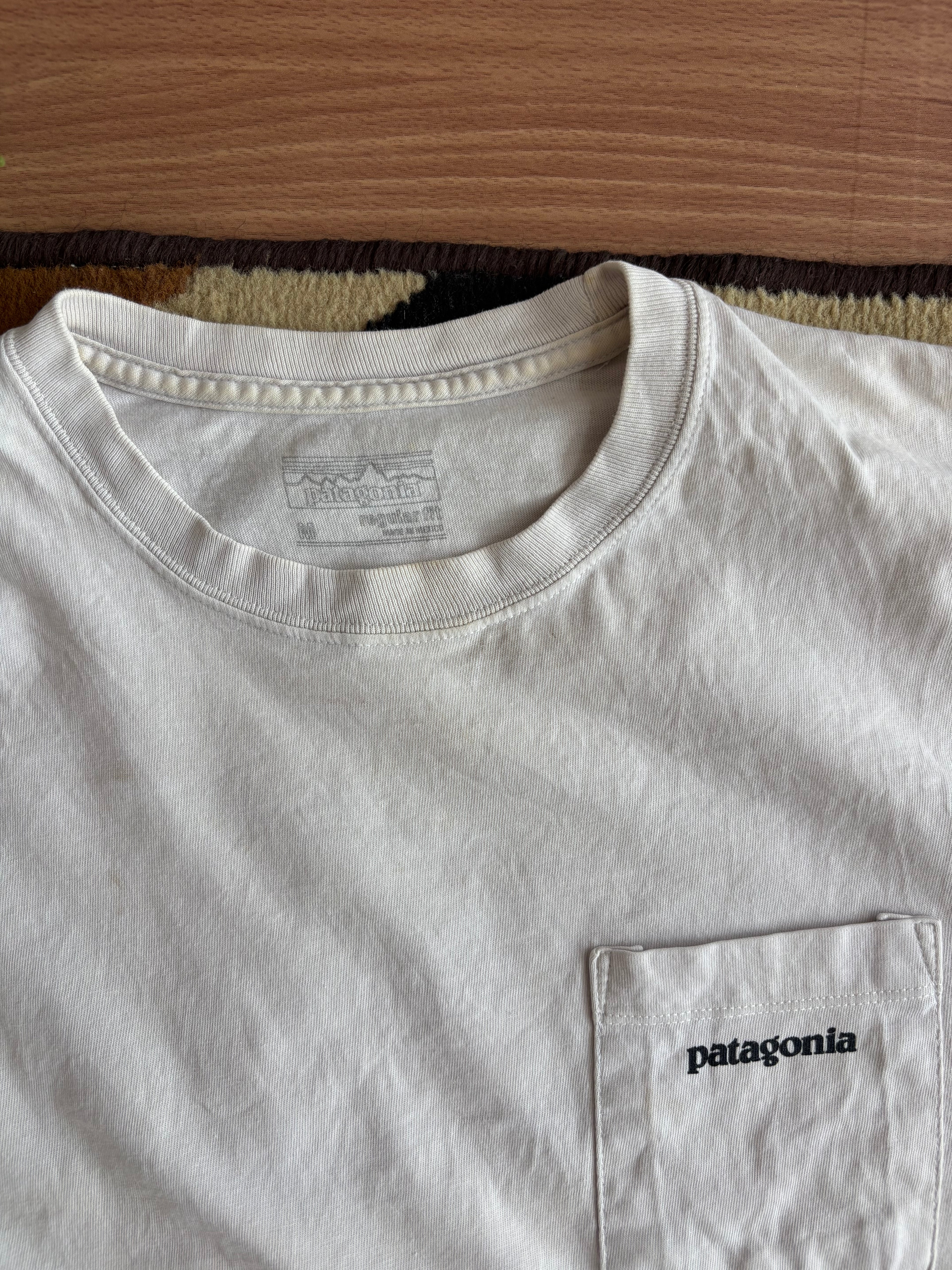 Patagonia tee