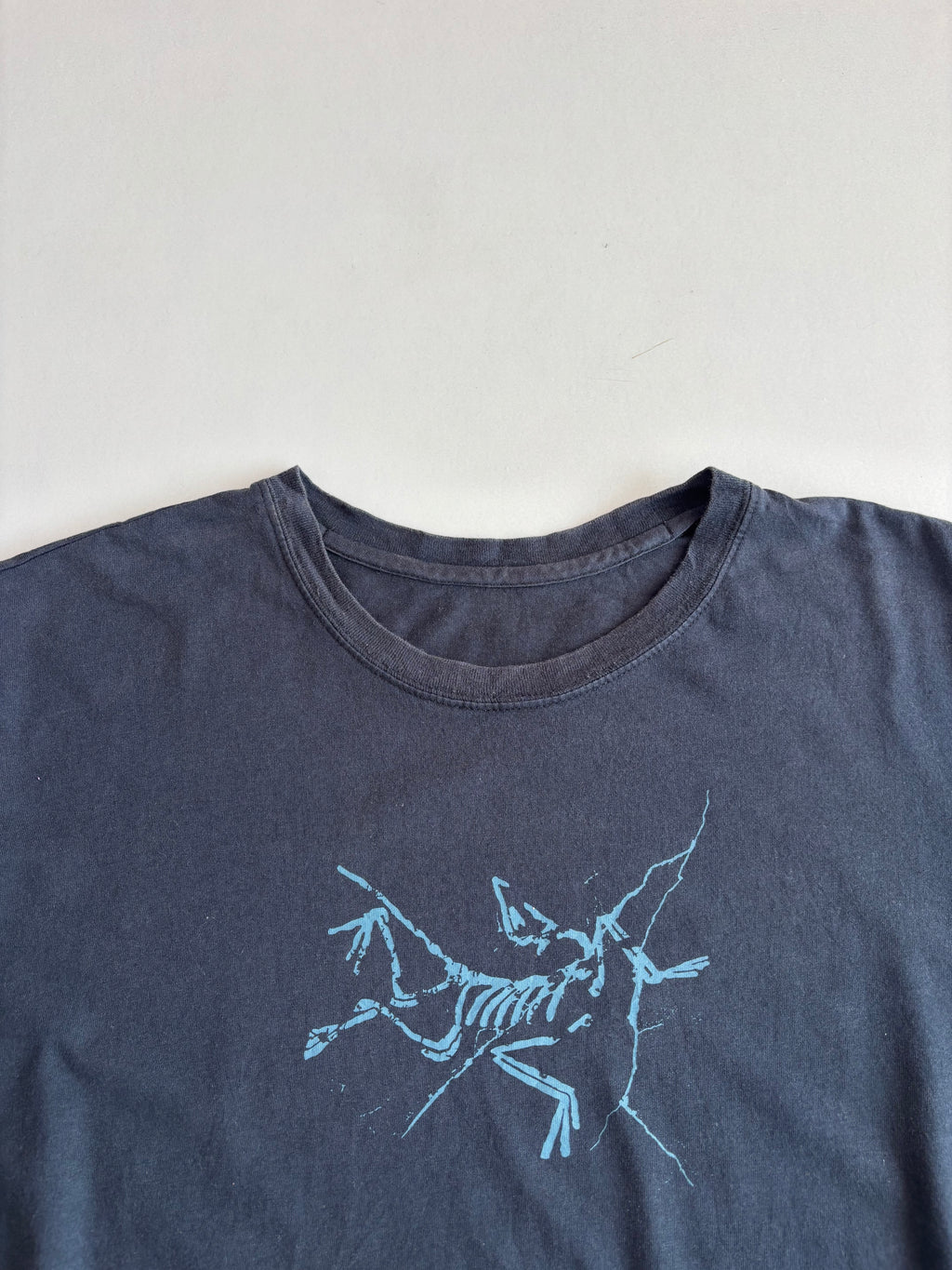 Arcteryx tee (M&L)