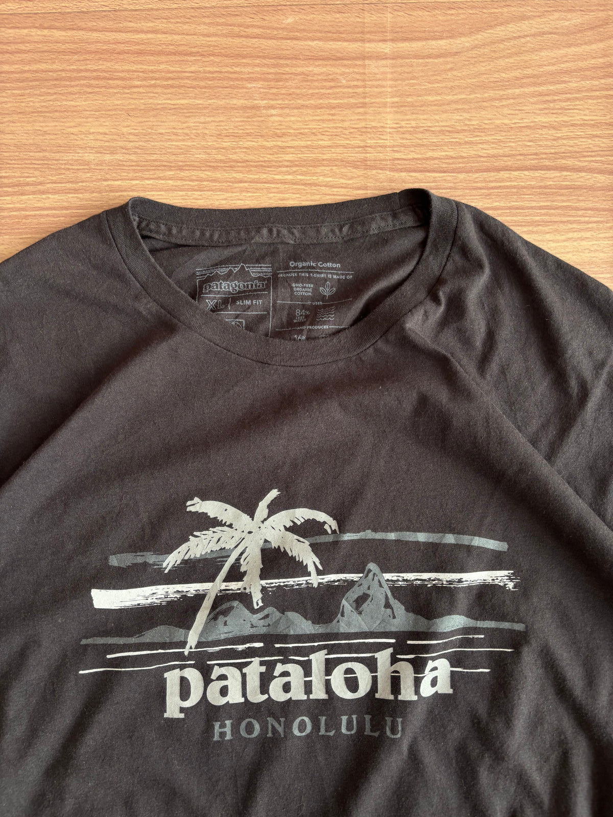 patagonia tee (L-XL)