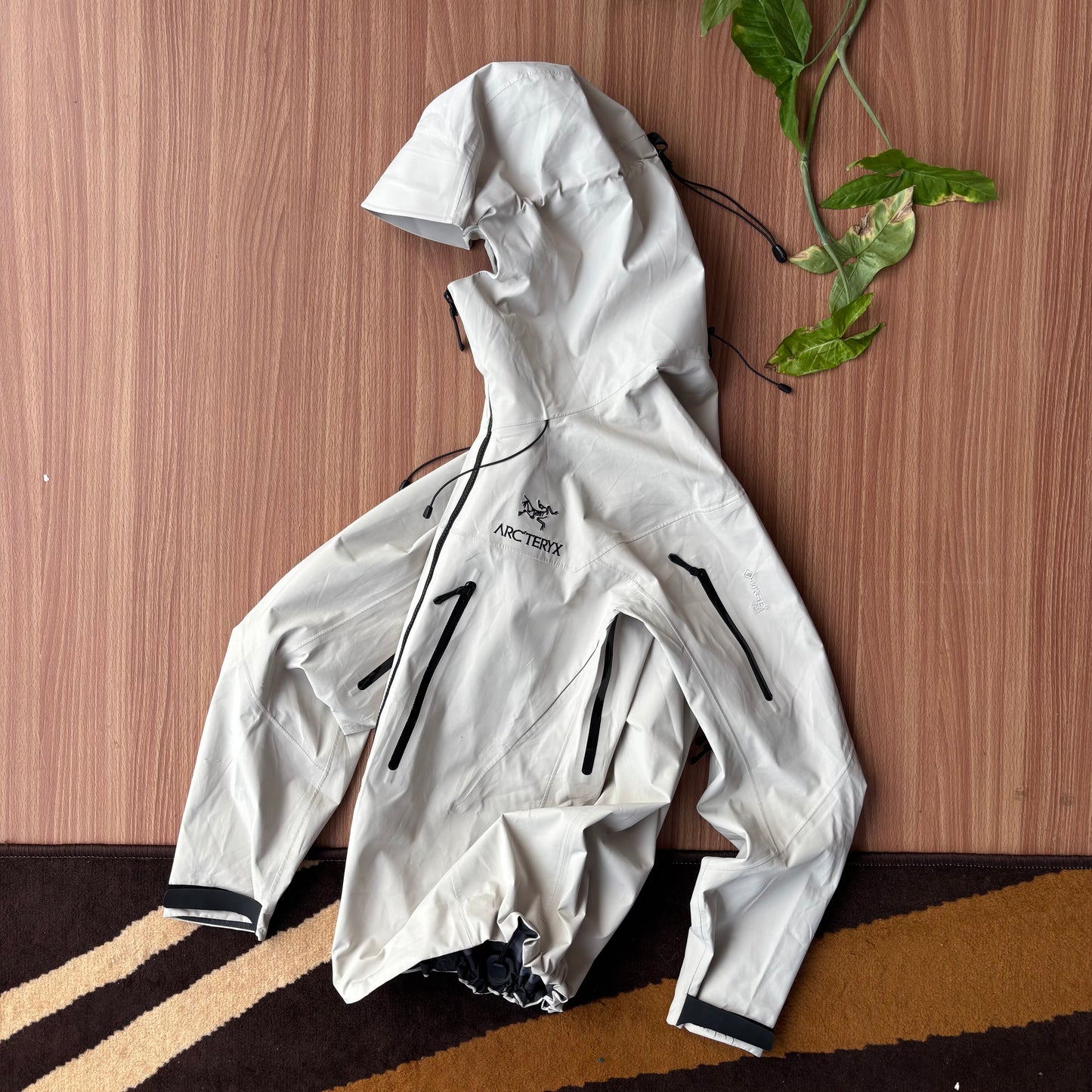 Arcteryx alpha AR