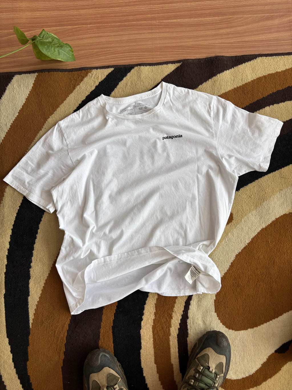 Patagonia tee