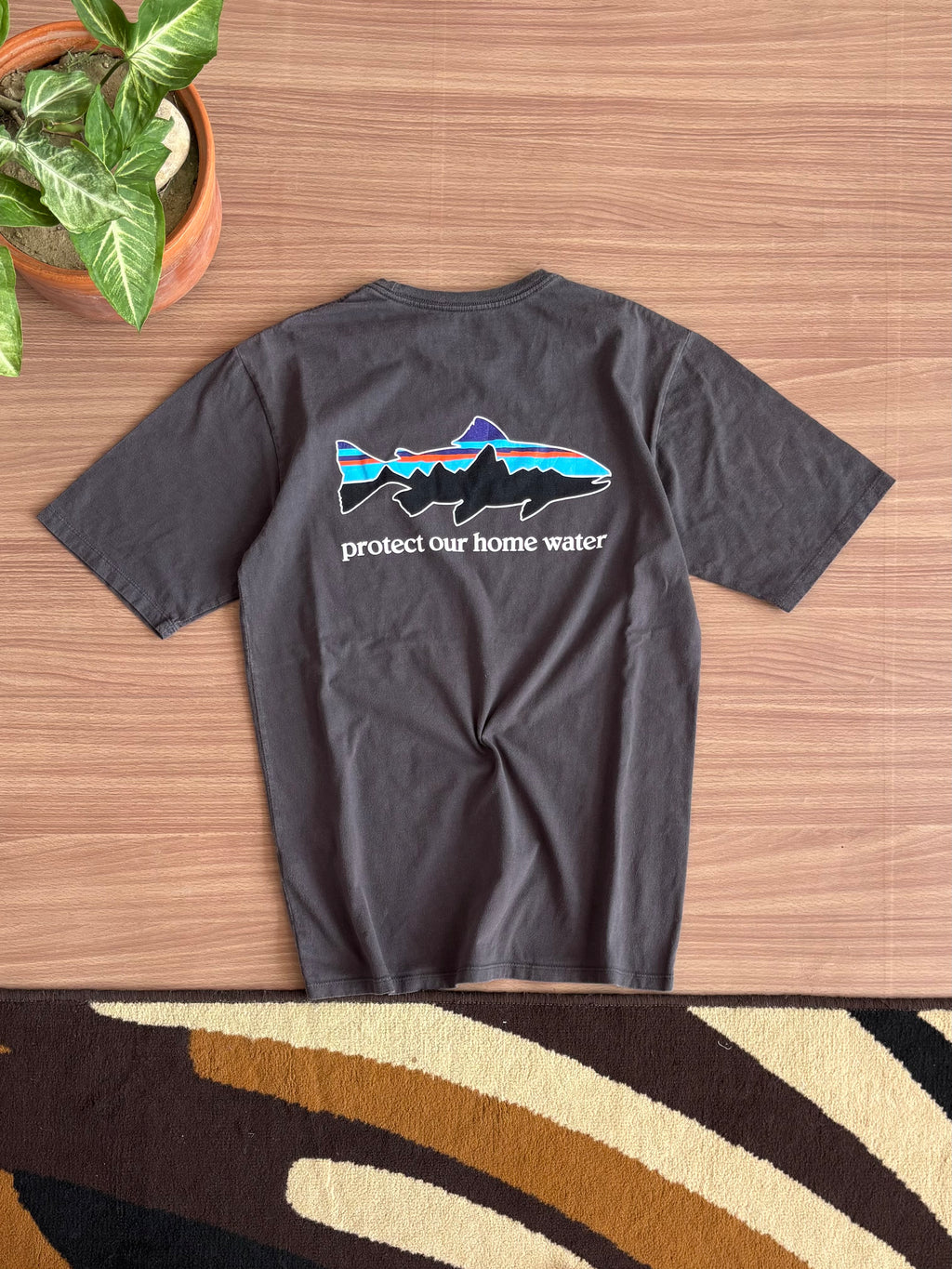 Patagonia tee