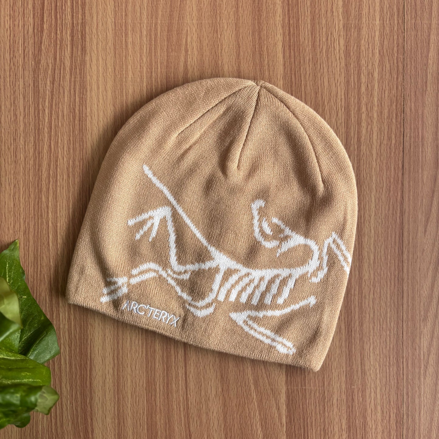 Arcteryx Toque beanies