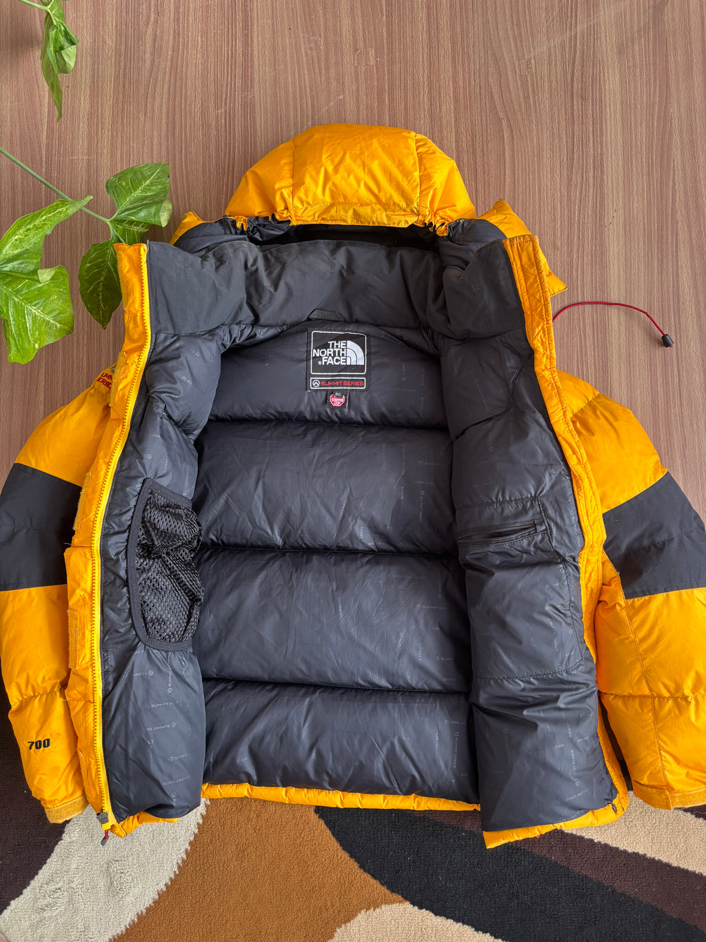 the north face summit series baltoro 700 down jacket (M)