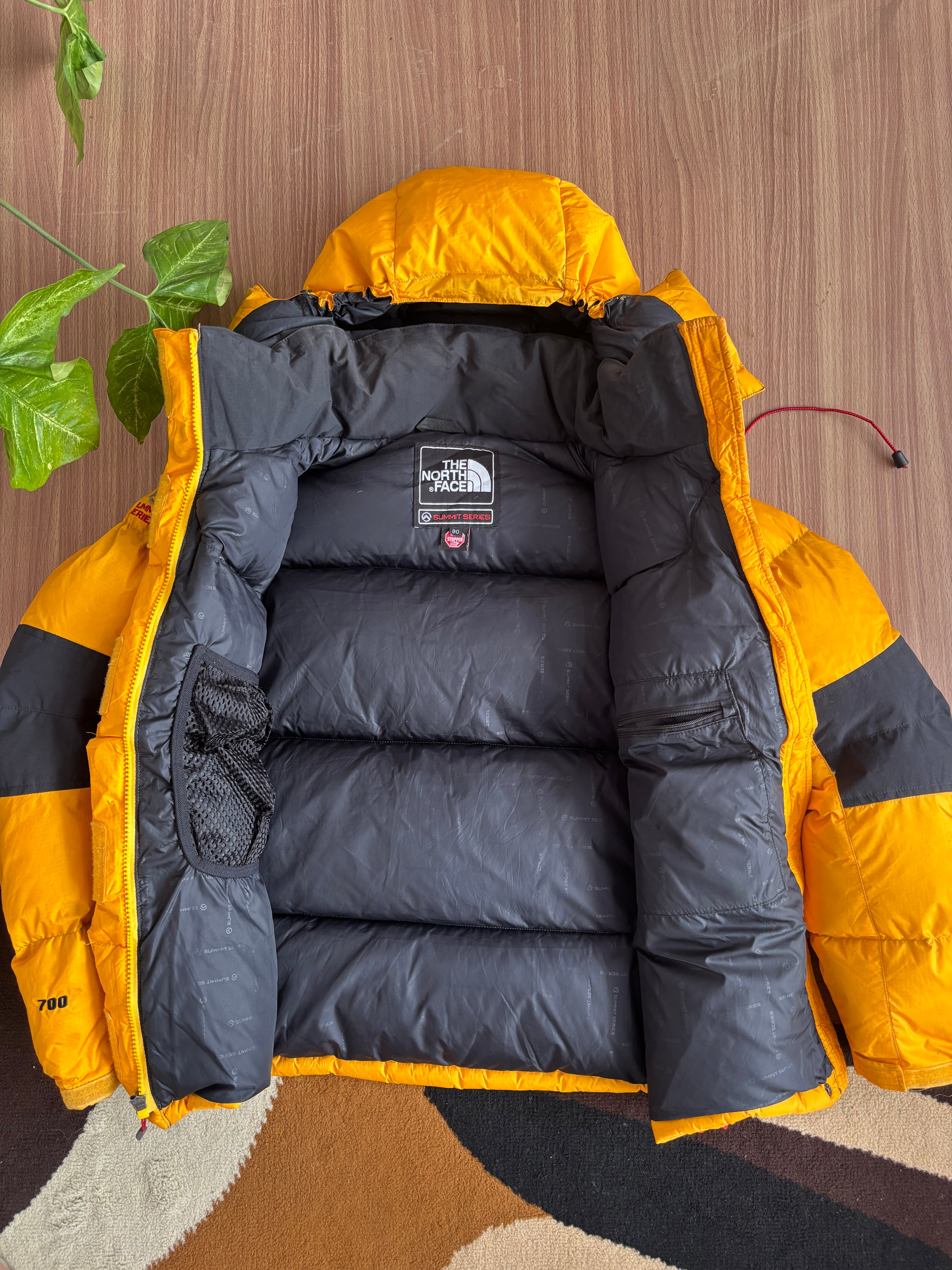 the north face summit series baltoro 700 down jacket (M)
