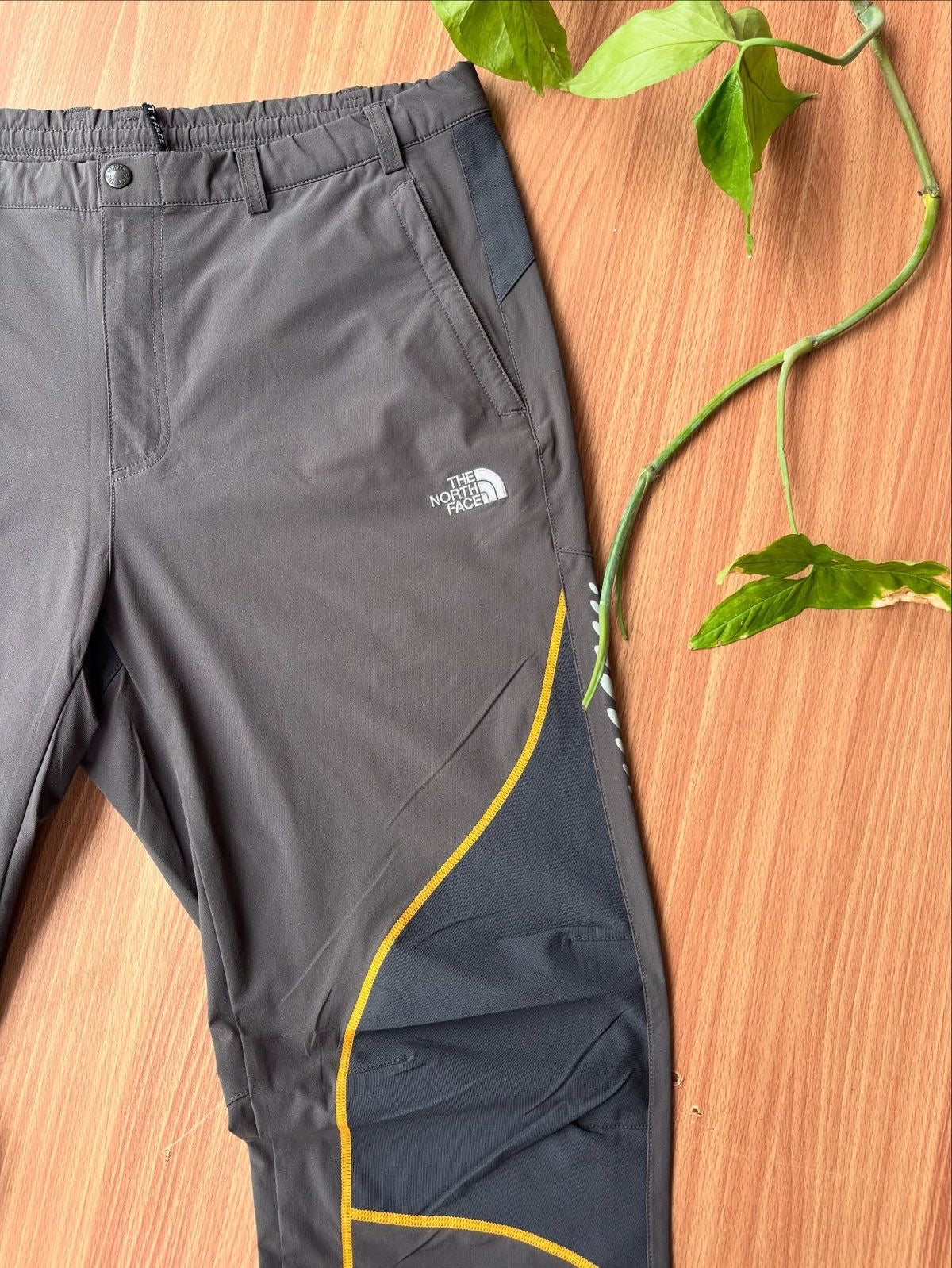 TNF Summit Series x Bergsteigen Pants