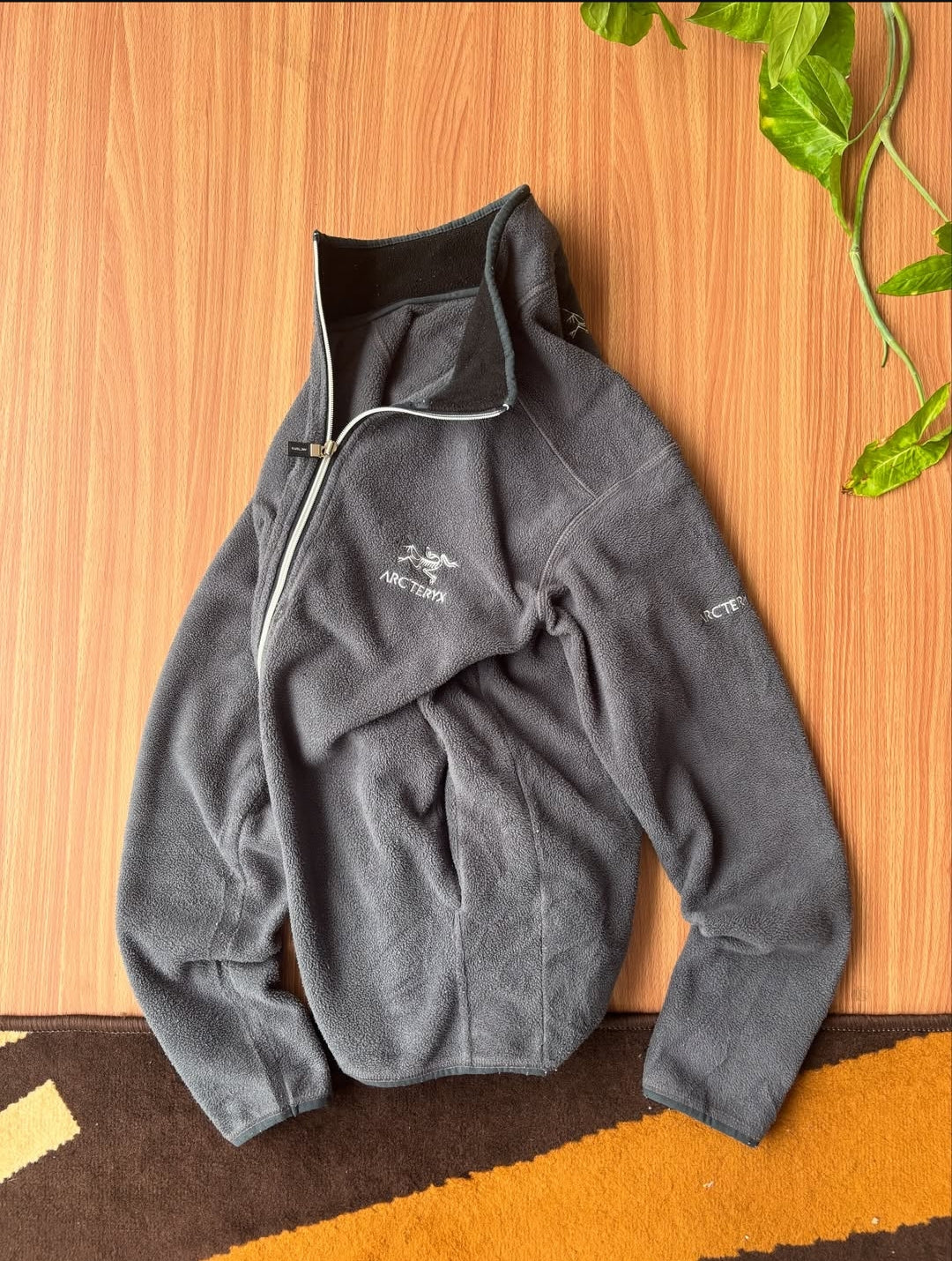 Arcteryx windwall